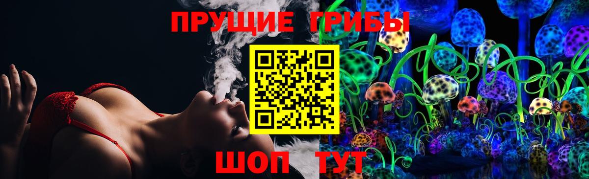 Галлюциногенные грибы Psilocybe Старая Русса