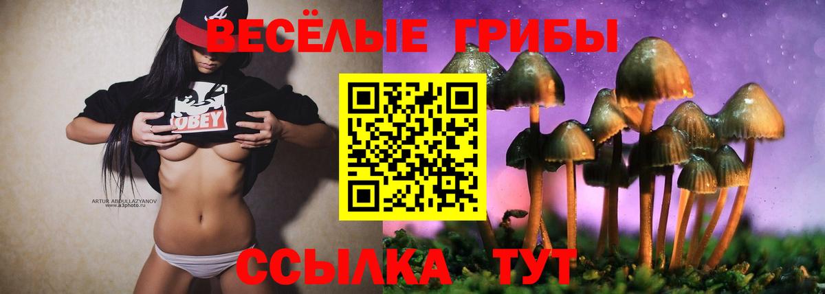 Псилоцибиновые грибы прущие грибы Старая Русса