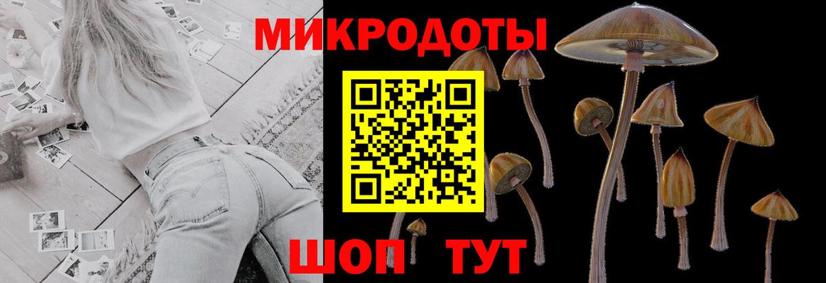 Старая Русса  Псилоцибиновые грибы MAGIC MUSHROOMS  Вход с VPN 